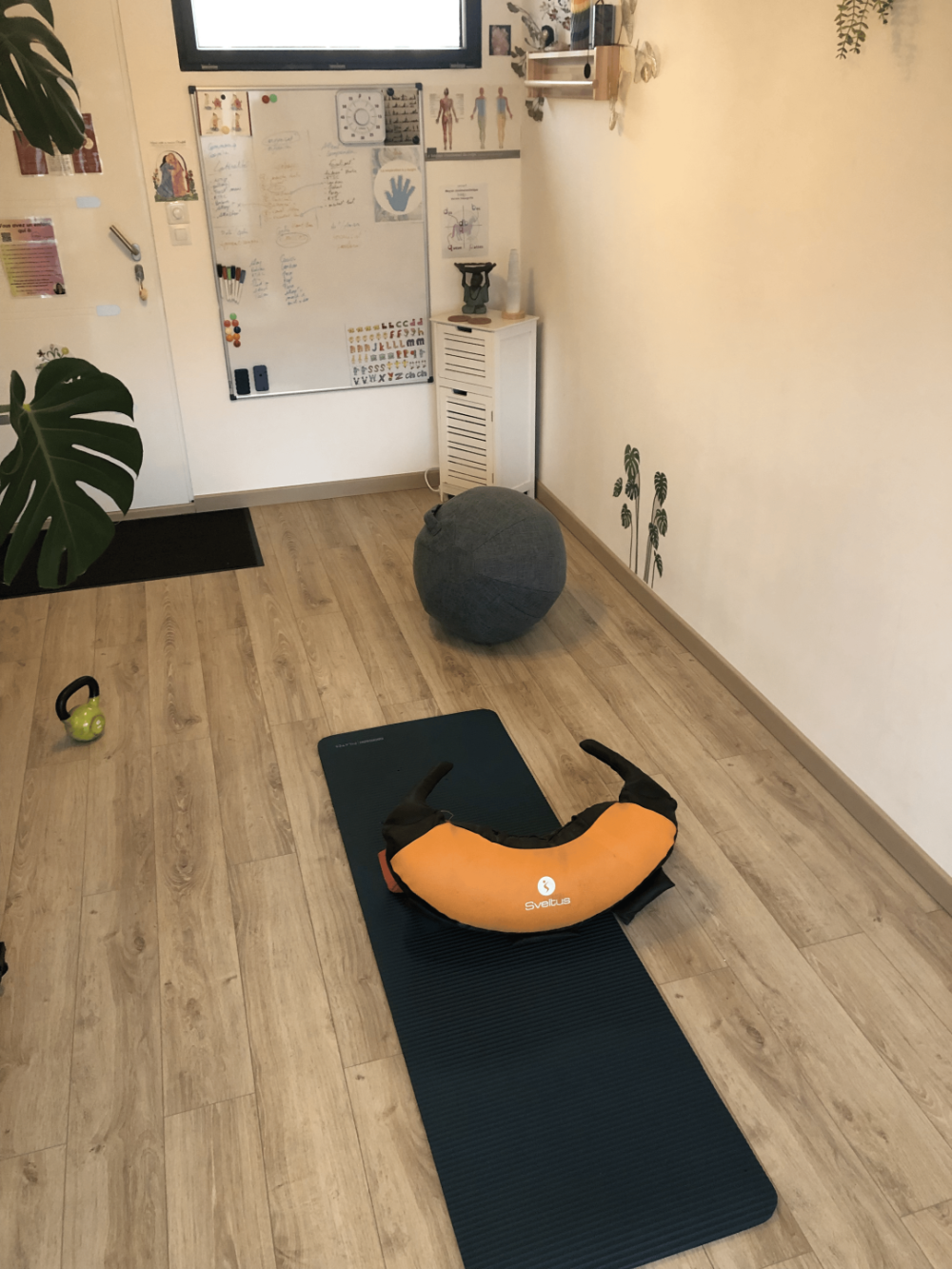 séances electrostimulation et coaching sportif (20)