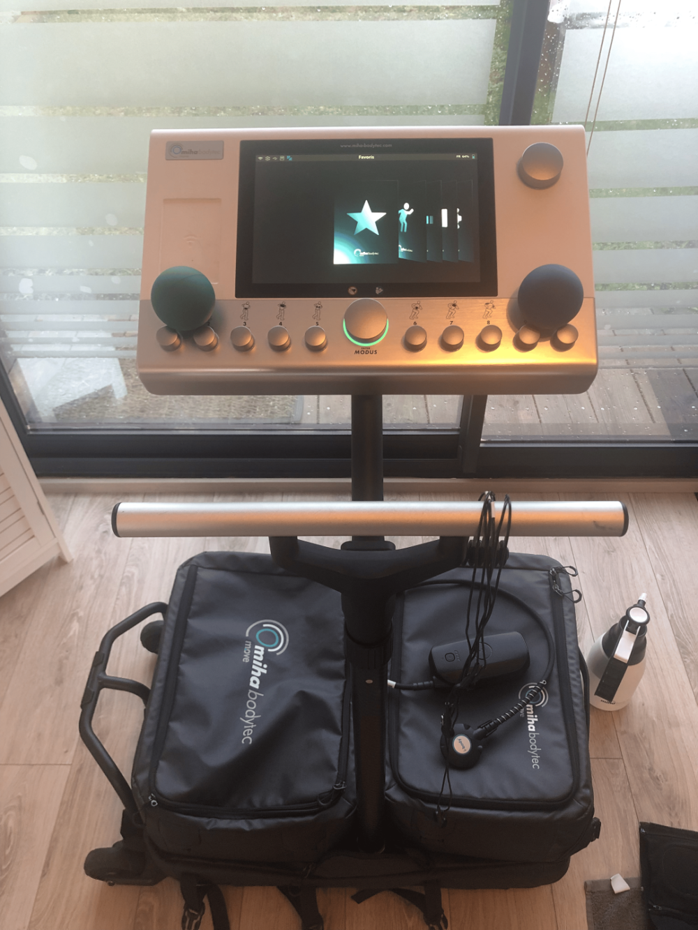 séances electrostimulation et coaching sportif (11)